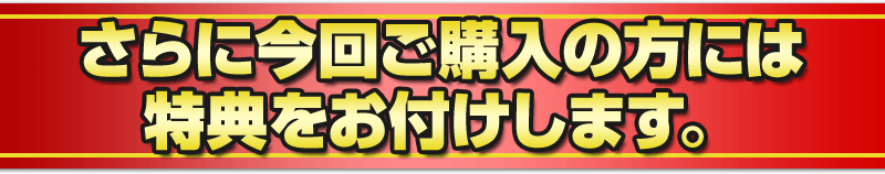 さらに今回ご購入の方には特典をお付けします。